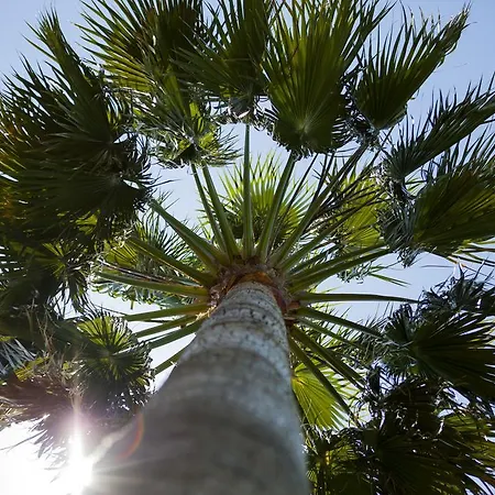 Вилла El Marco Писсури