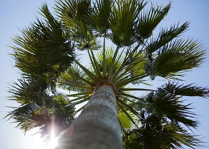 Villa El Marco Pissouri